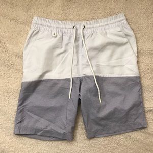 Publish Brand swimming trunks